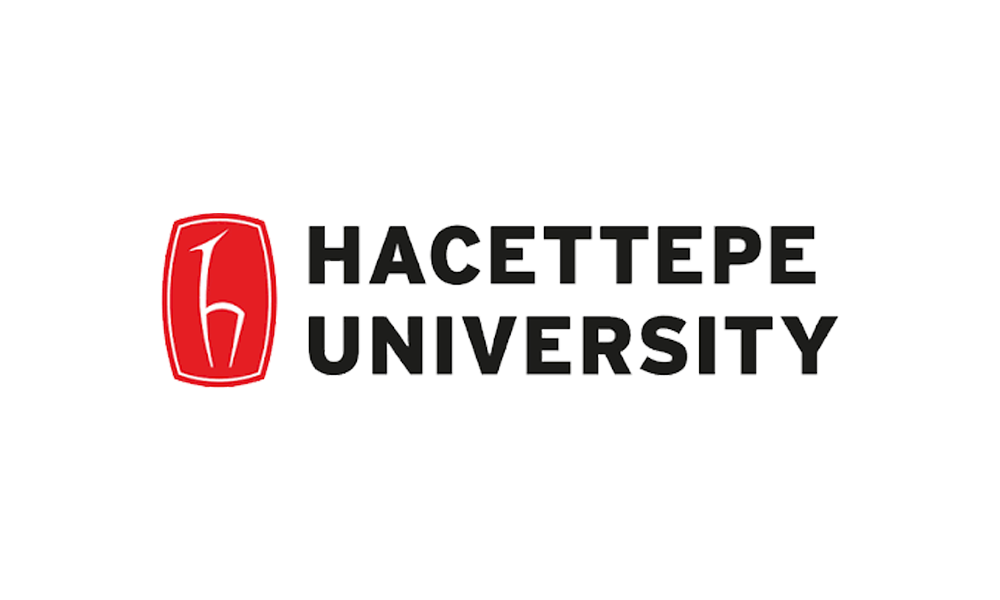 Hacettepe University
